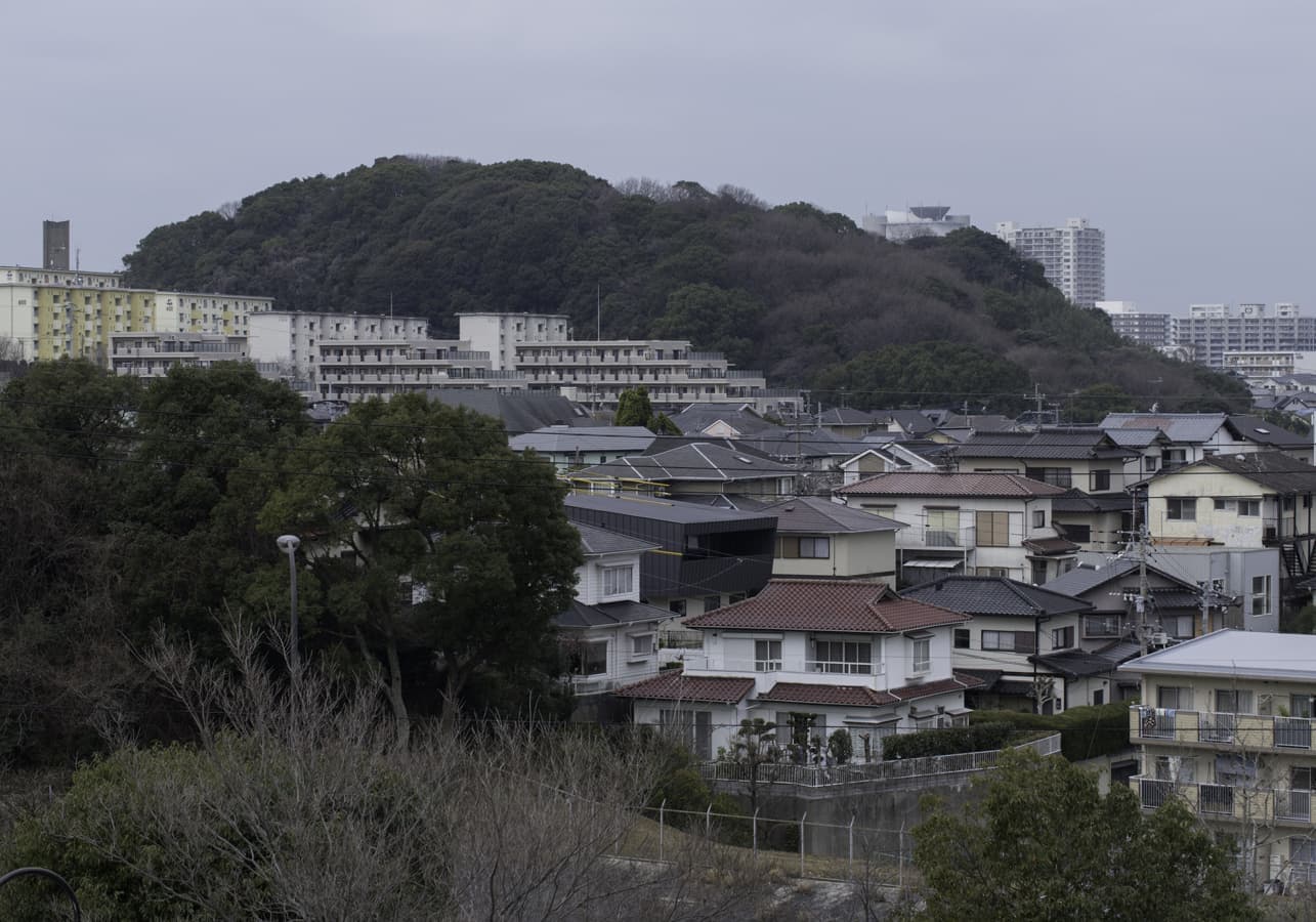 北東からの遠景