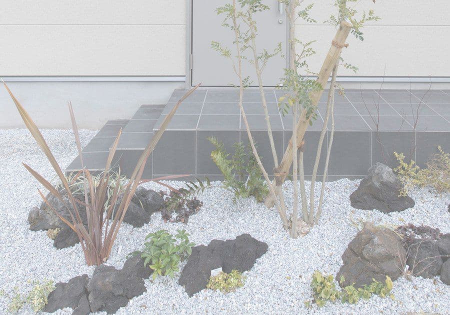 エントランスの眺め