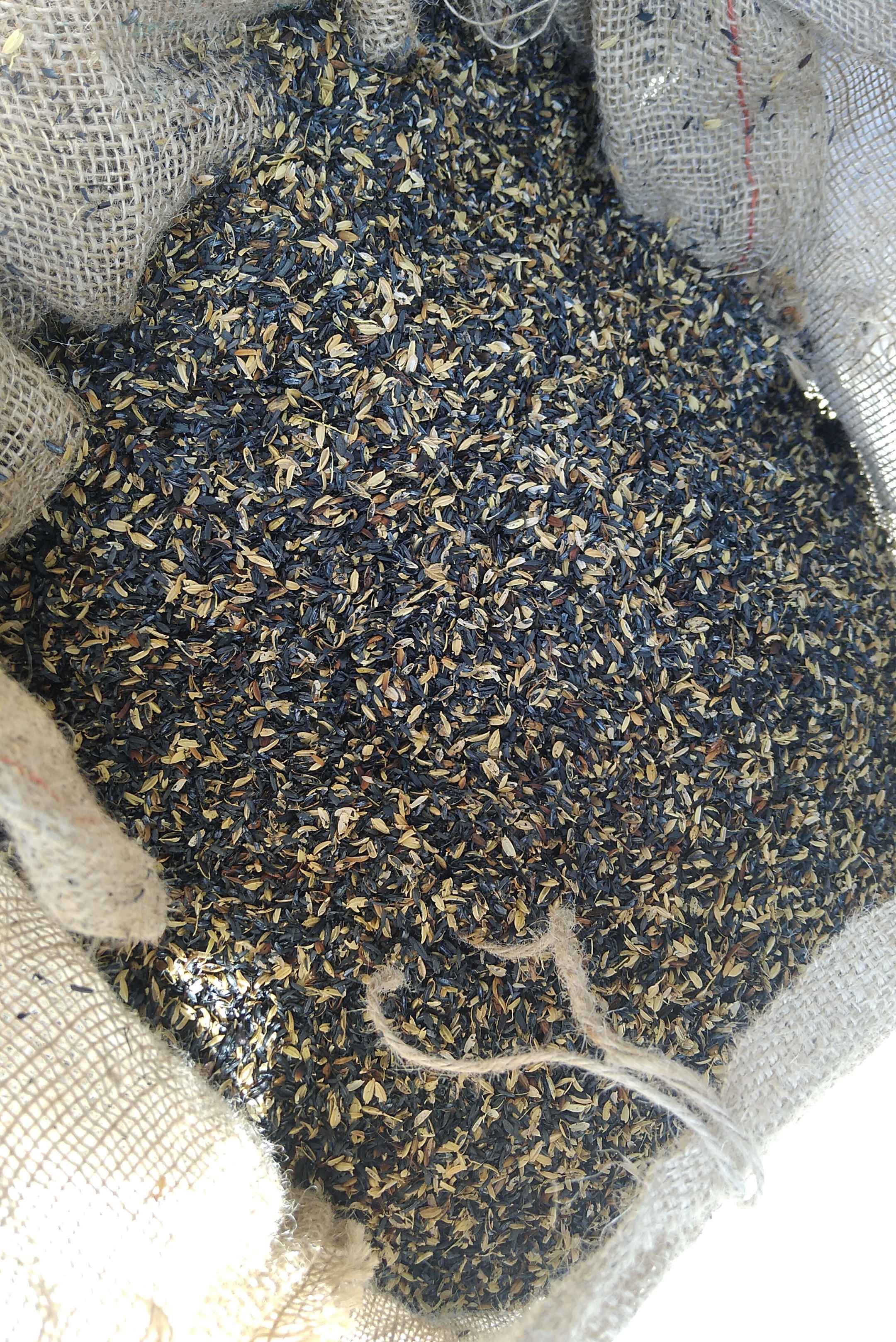 燻炭